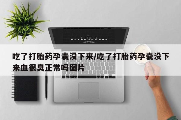 流产药联系微信吃了打胎药孕囊没下来/吃了打胎药孕囊没下来血很臭正常吗图片